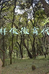 怎样做微商代理纸尿裤(不是微商纸尿裤不好做，是你不会做！业内大佬教你怎么找货源！)