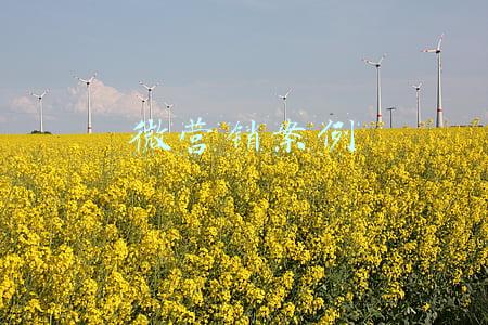 微营销案例