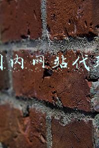 国内网站代理