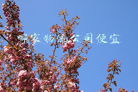 哪家物流公司便宜