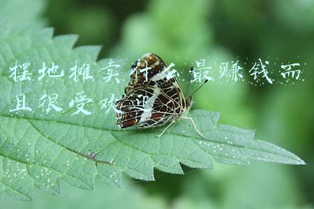 摆地摊卖什么最赚钱而且很受欢迎 摆地摊卖什么最赚钱而且很受欢迎