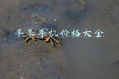 苹果手机价格大全