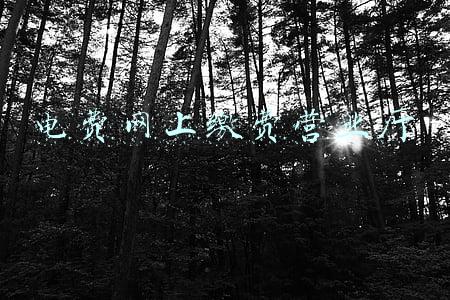 电费网上缴费营业厅