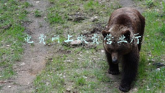 呼和浩特电费网上缴费营业厅(用户缴费需到电力部门营业网点 智能电表缴费能否更便捷)