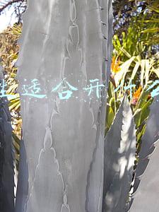 女生适合开什么店