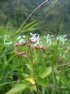 电销外包公司有哪些(亲身经历合作过的电销外包公司的经验分享)