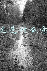曝光是什么意思