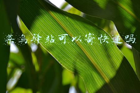 菜鸟驿站可以寄快递吗价格贵(菜鸟驿站转让费8万 一天收七百件 寄15件 大佬们分析一下可以转不？)