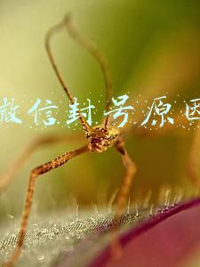 微信封号原因