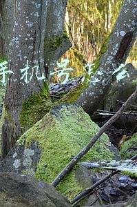 没有手机号怎么注册qq