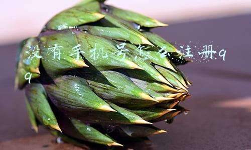 没有手机号怎么注册qq