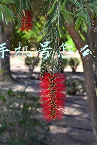 没有手机号怎么注册qq