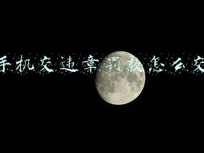 手机交违章罚款怎么交不了(自助处理交违用“交管12123”)