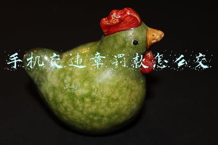 手机交违章罚款怎么交