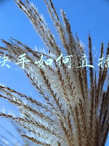 快手如何直播