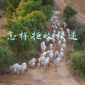 怎样拒收快递