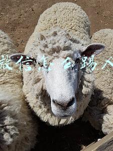微信怎么踢人