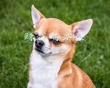 赚钱的办法