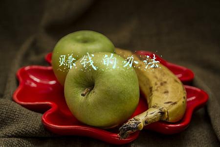 赚钱的办法