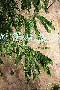 个人所得税退税政策截止时间(国家税务总局：2021年度个税汇算顺利启动 特定人群可优先退税)
