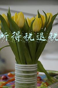 个人所得税退税政策