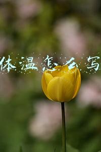 体温怎么写