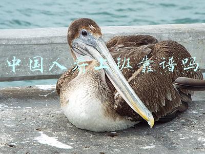 中国人寿上班靠谱吗