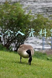 黄薇个人资料简介