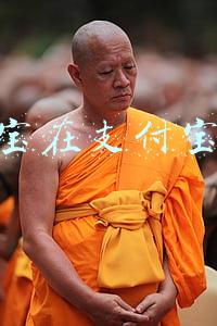 集分宝在支付宝哪里