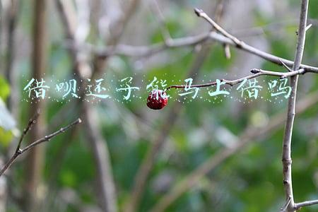 借呗还了能马上借吗