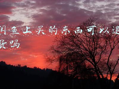 在闲鱼上买东西能退货吗(闲鱼可以不接受退货？)