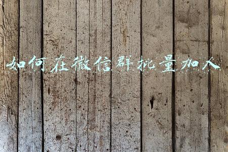 如何在微信群批量加人