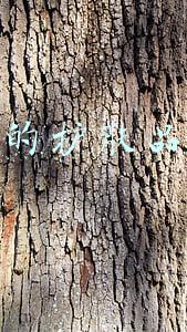 妍诗美的护肤品好不好