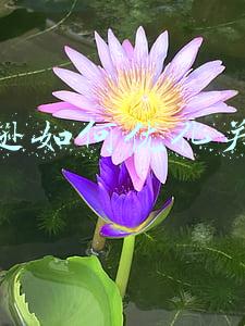 亚马逊如何优化关键词