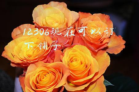 12306现在可以订下铺了