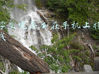 学生党怎么在手机上挣钱
