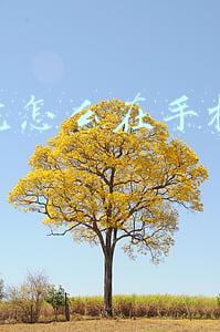 学生党怎么在手机上挣钱