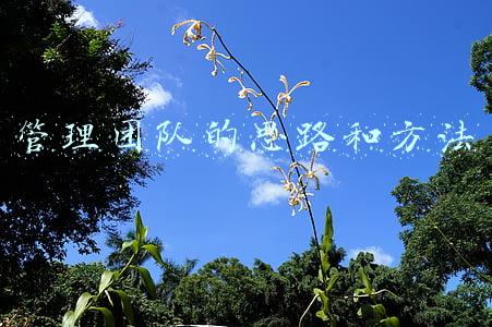 管理团队的思路和方法