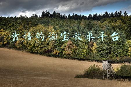 靠谱的淘宝放单平台