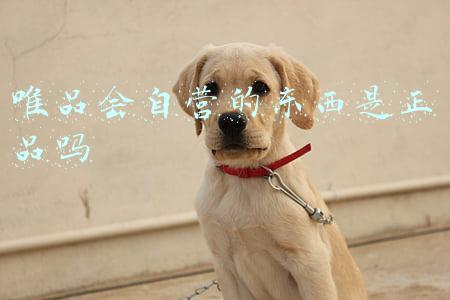 唯品会自营的东西是正品吗