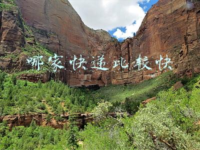 哪家快递比较快