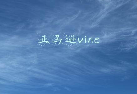 亚马逊vine