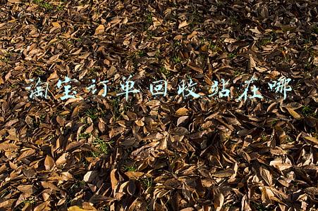 电脑版淘宝订单回收站在哪(《淘宝》找回删除订单方法)