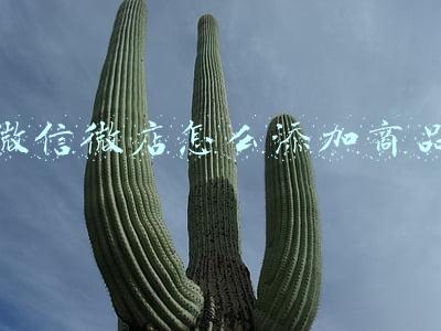 微信微店怎么添加商品