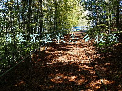 外卖商家不退款怎么投诉(公开征集问题线索！消费者遇到这些外卖问题可拨打12315举报)