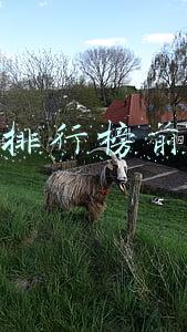 颈霜排行榜前十名
