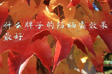 什么牌子的防晒霜效果最好