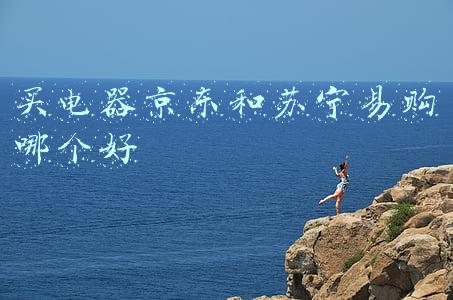 买电器京东和苏宁易购哪个好