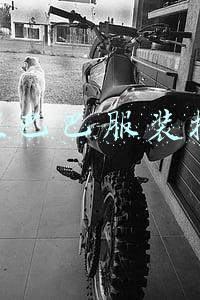 阿里巴巴服装批发好做吗(阿里巴巴服装面料批发采购 从了解成分标准开始)