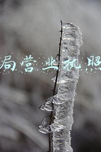 工商局营业执照年检电话(辟谣侠盟丨企业年报先发80元红包？株洲市市场监管局：有诈)